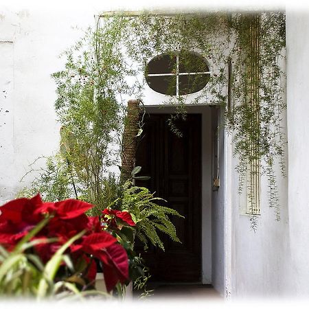 Florence Rental Ngoại thất bức ảnh