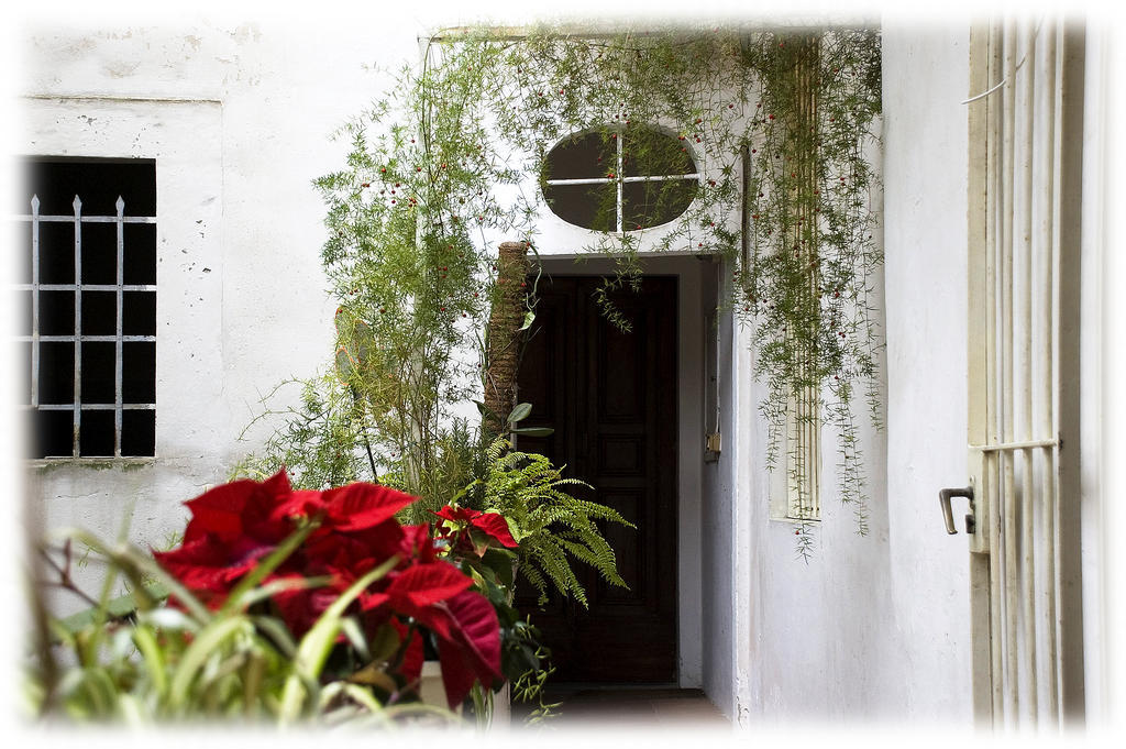 Florence Rental Ngoại thất bức ảnh